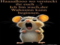 Maus bereit f�r den Wahnsinn