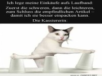 Die Fhigkeiten der Kassiererin