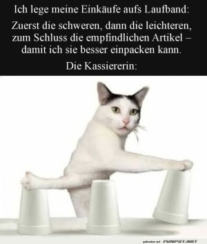 Die-Fhigkeiten-der-Kassiererin.jpg auf www.funpot.net