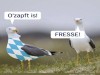 weiter