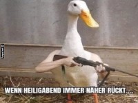 Weihnachtsente auf Streife!