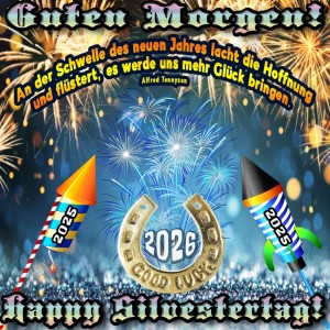 Silvester.jpg von Justin