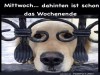 weiter