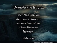 Wenn Demokratie zur Herausforderung wird