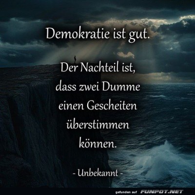 Wenn-Demokratie-zur-Herausforderung-wird.jpg von Joeline