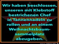 Weihnachtsbaum Sammelplatz