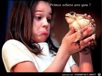 frog prince