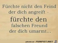 Frchte nicht den Feind...