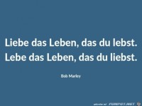 liebe-das-leben-