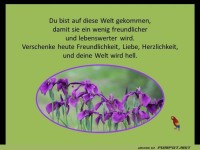 Du bist auf diese Welt gekommen