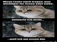Keine Antwort