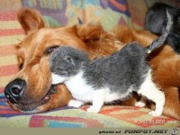 was hast du denn heute Mittag gegessen?