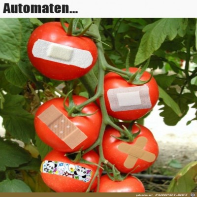 Automaten.jpg von SWolle