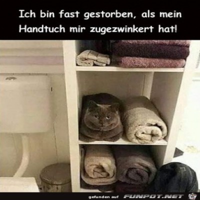 Flauschiges-Handtuch.jpg von Luka