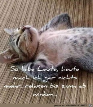 Ich-mach-heute-gar-nichts.jpg auf www.funpot.net