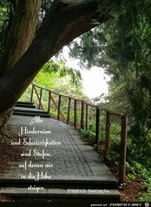 Alle-Hindernisse.jpg auf www.funpot.net