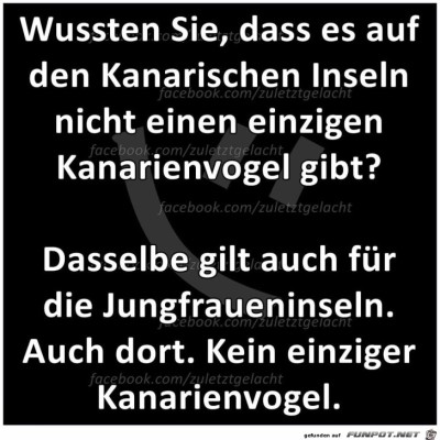 Was-f&uuml;r-eine-Entt&auml;uschung.jpg von babs