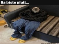 Da bist du platt