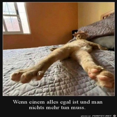 Total-faul.jpg von Peer
