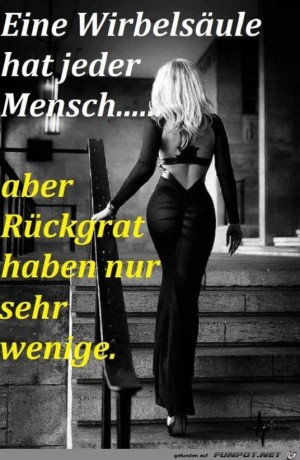 Rckrat-hat-nicht-jeder.jpg auf www.funpot.net