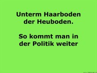 weiterkommen politik