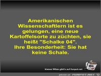 Amerikanischen Wissenschaftlern ist es gelungen