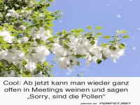 Die Pollen fliegen wieder
