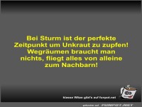 Bei Sturm ist der perfekte Zeitpunkt um Unkraut zu zupfen!