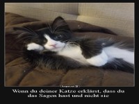 Katze erkl�rt, wer das Sagen hat