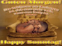 Entspannter Sonntagmorgen mit Hunden