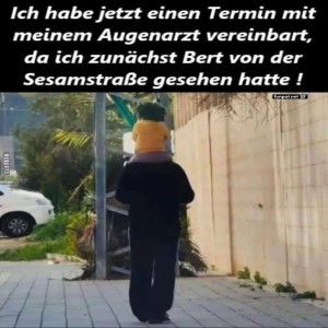 Optische-Tuschung-mit-'Bert-von-der-Sesamstrae'.jpg von Valeria41