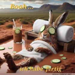 Hase-entspannt-im-Spa-mit-Gurkenmaske.jpg auf www.funpot.net