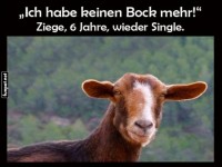 Lustige Ziege mit frechem Spruch