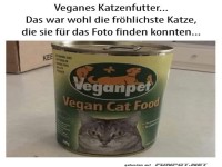 Katzenlaune: Frhlich vegan?