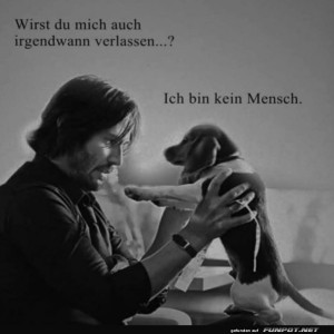 herz-Bild: Hundetreue: Ein Update der Beziehungsregeln