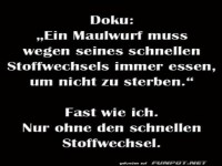 Stoffwechsel des Alltags