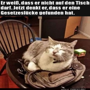 Schlupfloch-gefunden.jpg von Gregor