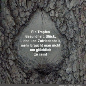 Baum-Weisheit:-Gl�ck-aus-der-Rinde!.jpg von Gregor