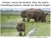 Wenn du einen schlechten Tag hattest