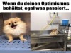 weiter