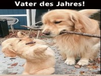 Papa-Probleme mal anders!
