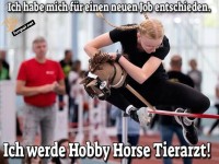 Hobby Horse Tierarzt in Aktion!