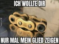 Das stille Glied: Eine unerwartete Enth�llung