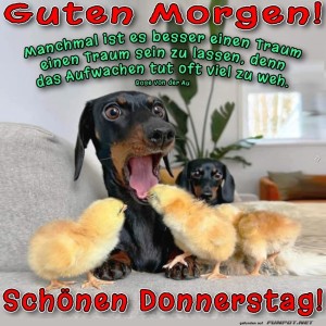 Donnerstag.jpg von Justin