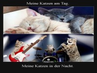 Tagtr�ume und Nachtkonzerte