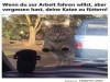weiter
