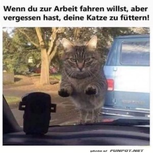 Stopp.jpg von SexOnTheBeach
