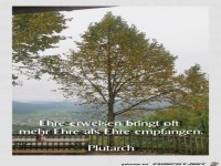 Ehre erweisen bringt oft...