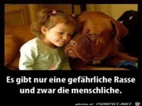 Gefaehrliche Rasse