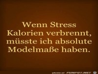 10458848 1072867049403080 2716963789414295597 n